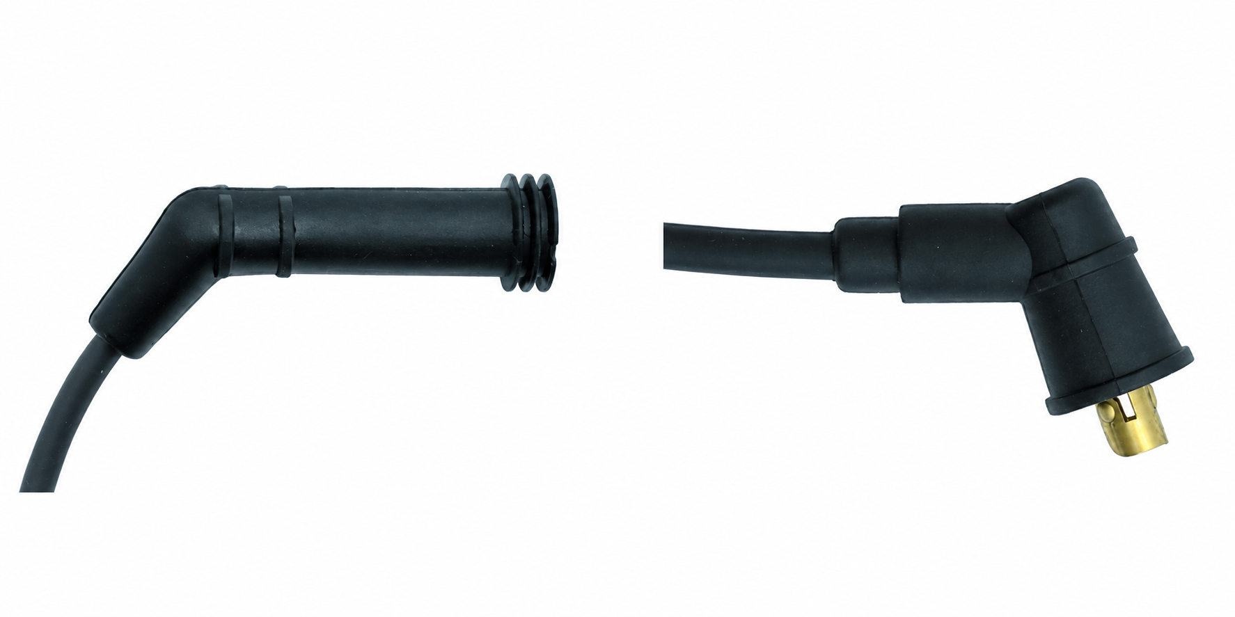 76055 edited reference illustration
